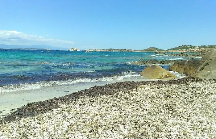 Muita Di Mari Hotel 3*