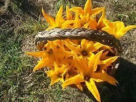 Muita Di Mari 3* Santa Teresa di Gallura